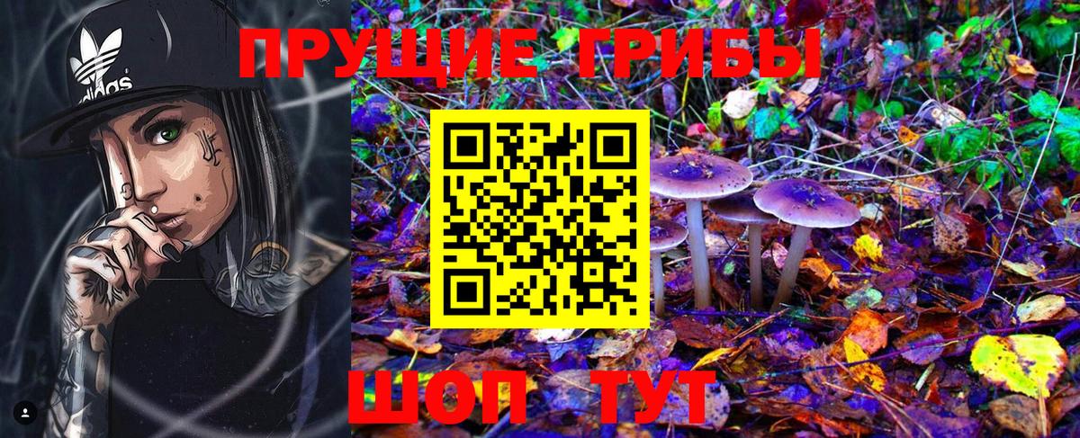 Псилоцибиновые грибы Psilocybe Нефтеюганск