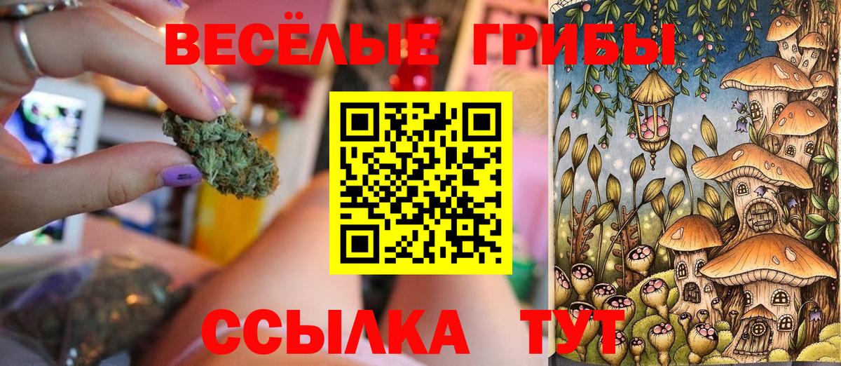 Псилоцибиновые грибы GOLDEN TEACHER  Нефтеюганск 