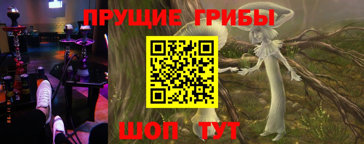 Псилоцибиновые грибы ЛСД  где купить   Нефтеюганск  Псилоцибиновые грибы Cubensis  Вход с VPN 