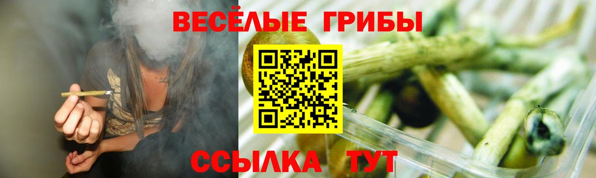 Галлюциногенные грибы Psilocybe Нефтеюганск